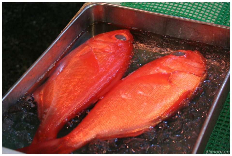 tsukiji_02_redfish